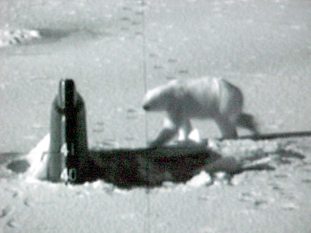 1024px-US_Navy_030427-O-0000B-003_Polar_Bear_Attacks_Sub